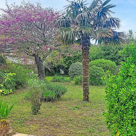 Sandy Toes By Interhome * Saint-Georges-d'Oleron